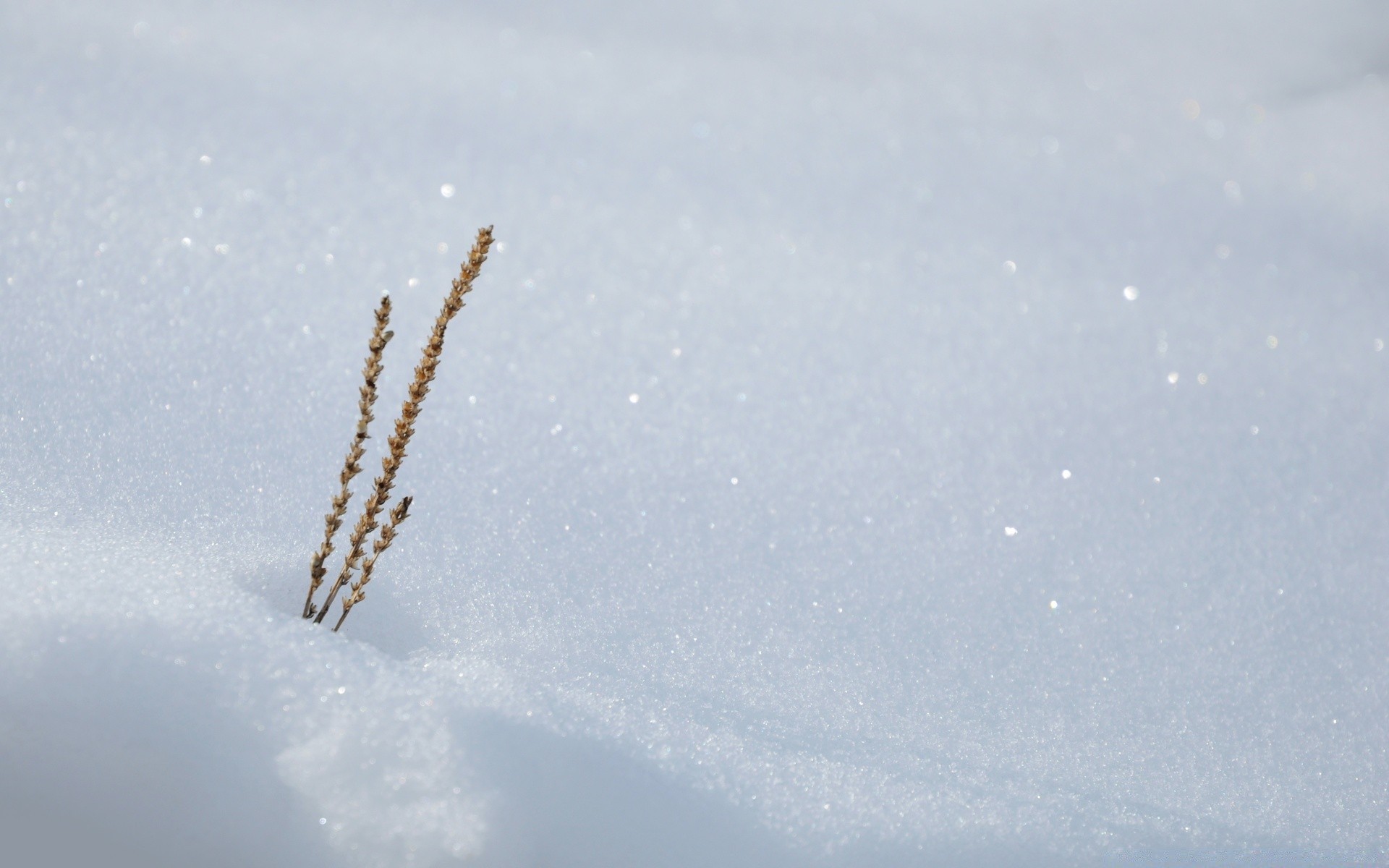 winter snow sky airplane landscape aircraft daylight weather cold ice nature outdoors desktop jet space air flight light frost