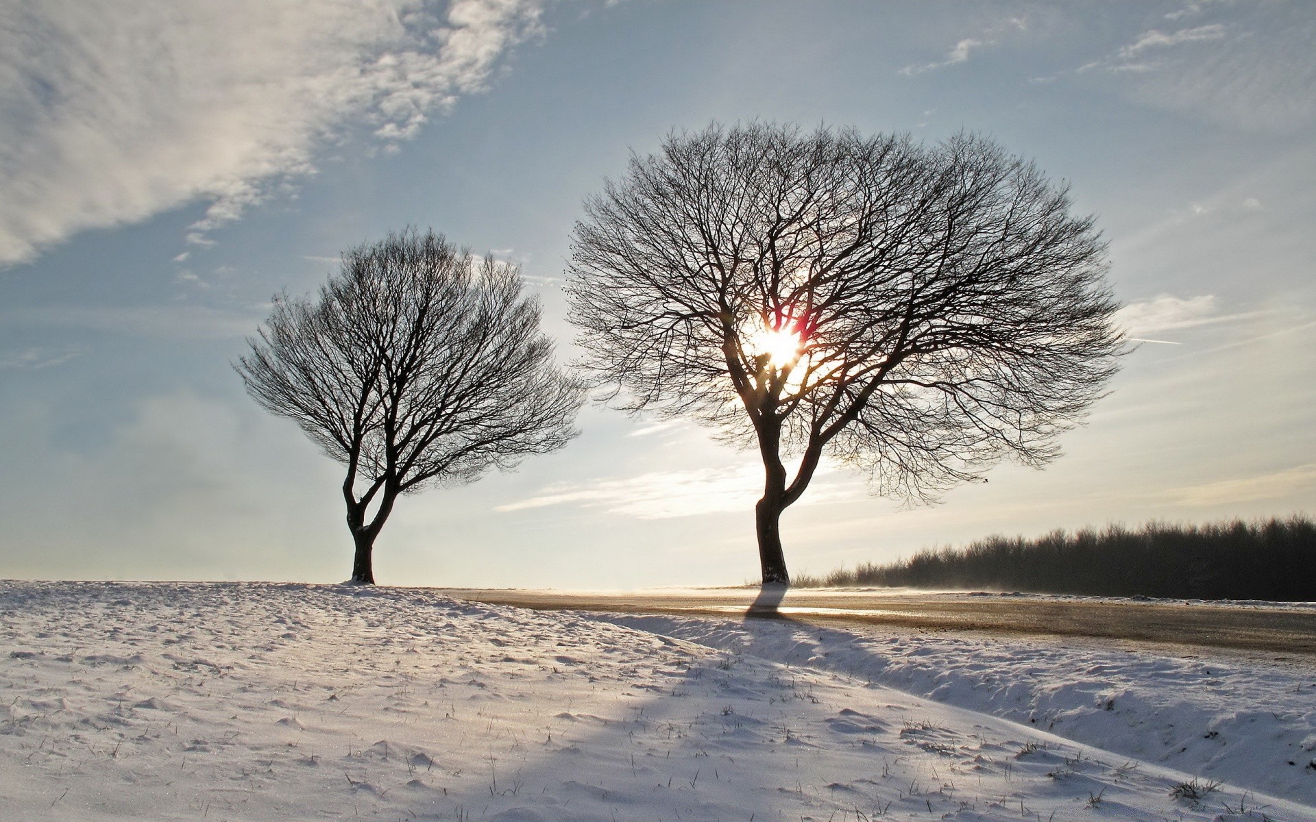 winter baum schnee landschaft frost kälte natur gefroren wetter holz dämmerung zweig saison ein eis nebel landschaft