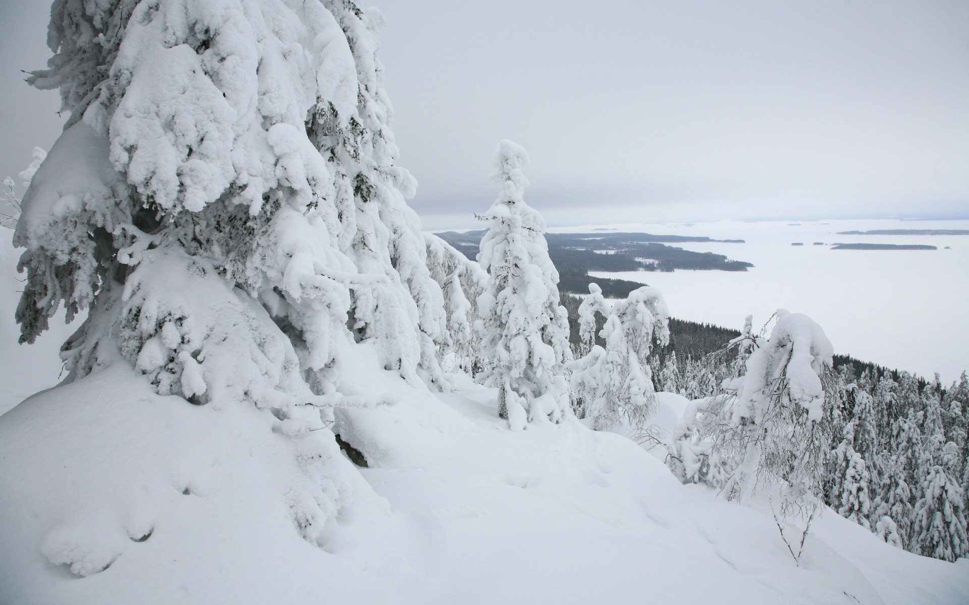 winter snow cold frost frozen ice weather frosty scenic mountain snowy landscape wood snowdrift resort season snowstorm