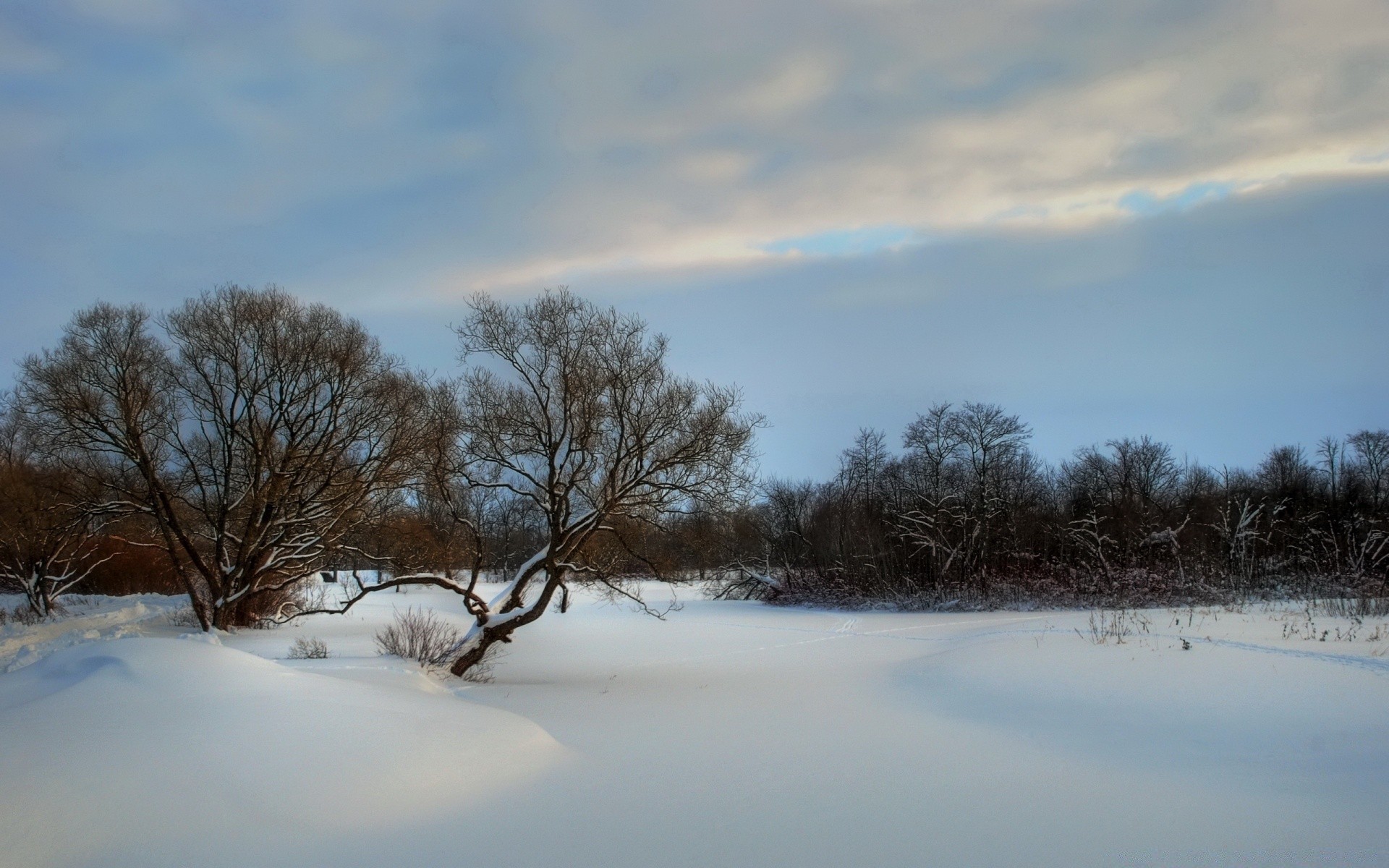 winter landscape tree snow cold weather frozen ice dawn nature fog lake light water sky wood scenic daylight river season