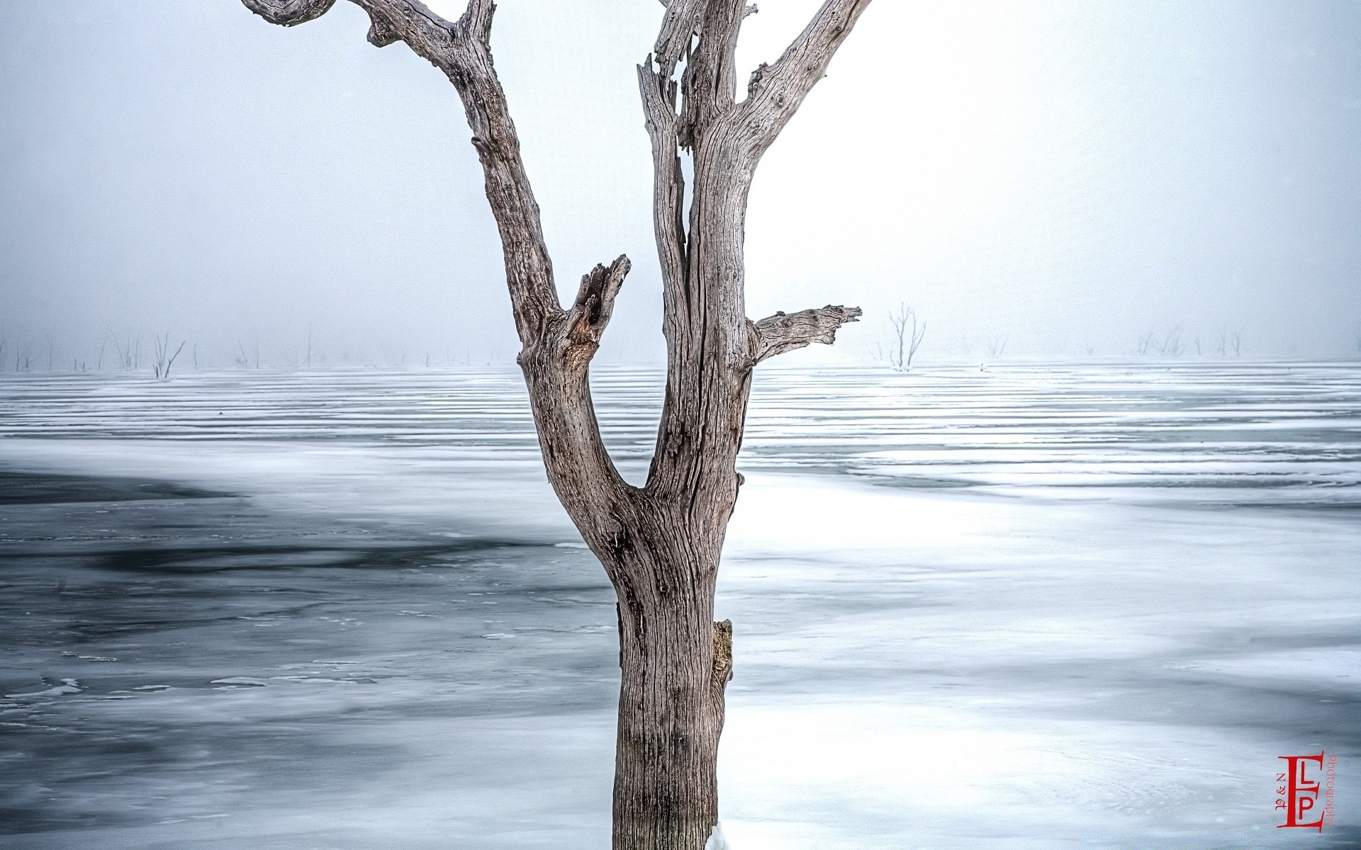 winter wasser natur im freien landschaft meer himmel reisen