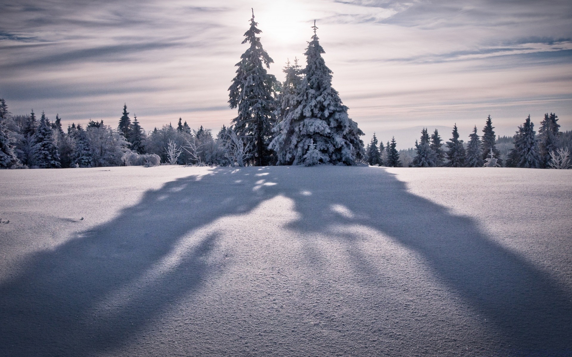 winter snow cold frost frozen ice landscape tree wood weather mountain scenic season