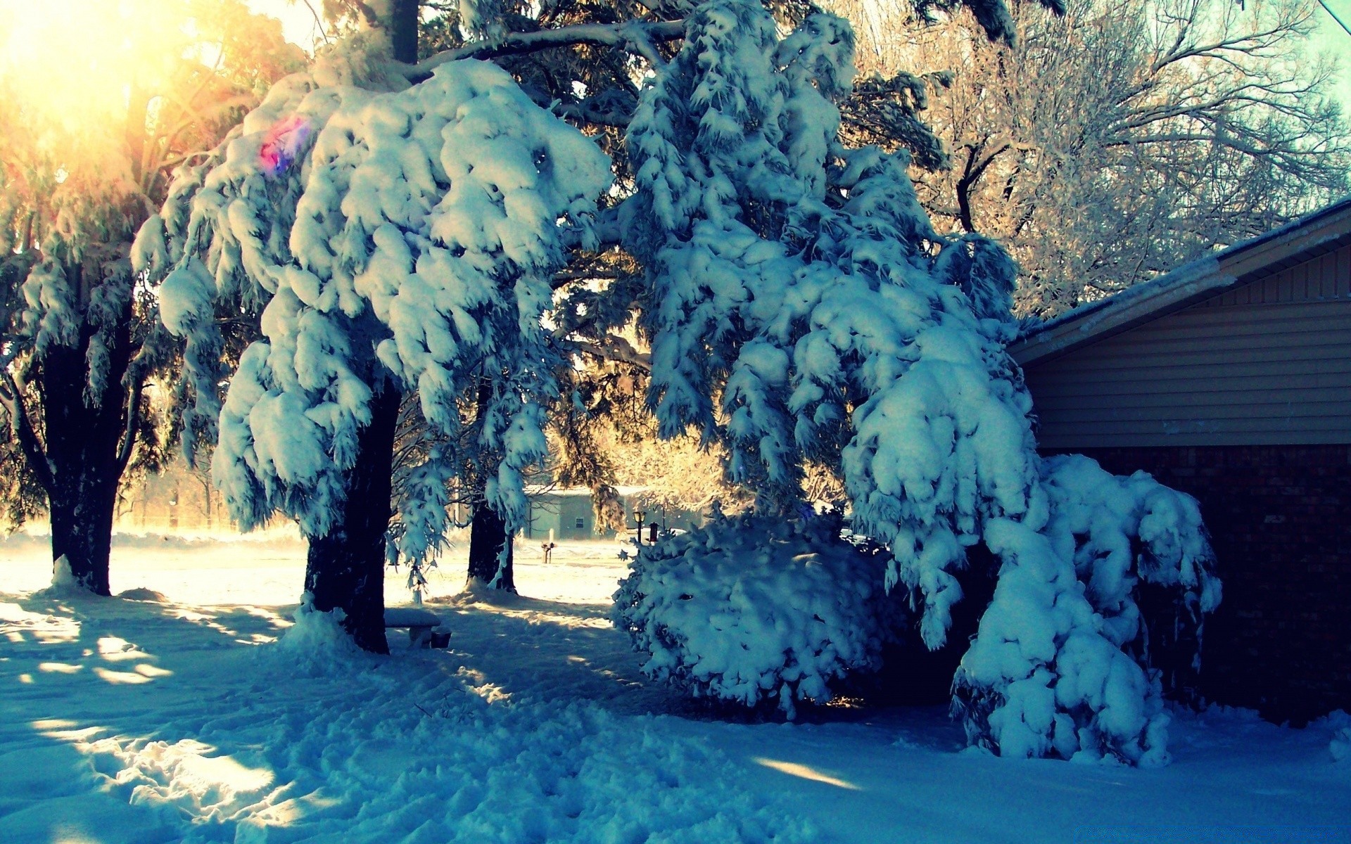 kış kar soğuk açık havada seyahat manzara ağaç frost doğa ışık donmuş su doğal hava durumu buz