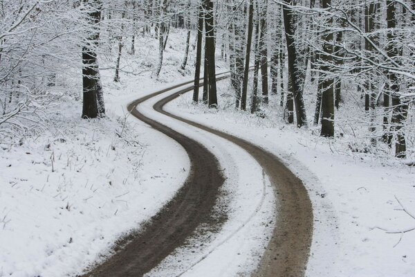 La strada nella foresta invernale verso il nulla