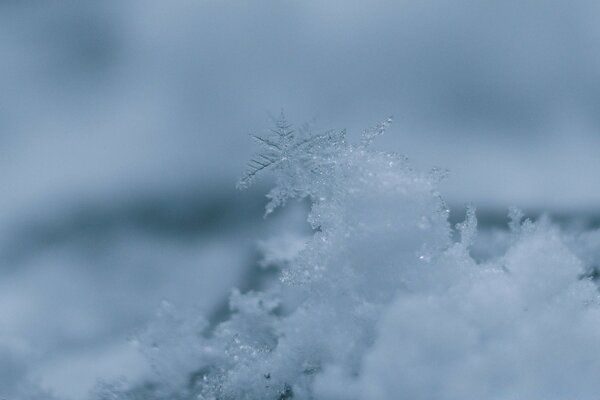 Tierno hielo frío en la nieve