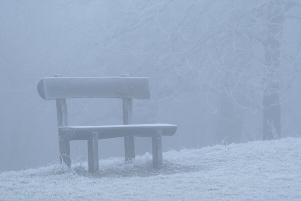 A bench in the fog was dusted with snow