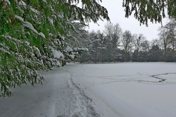 Paisagem de inverno no parque