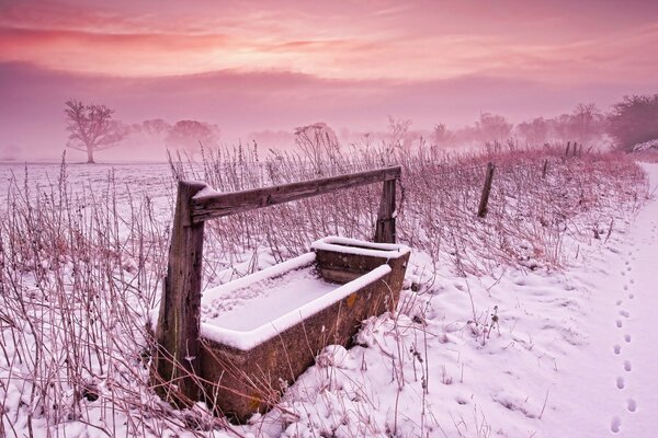 Schneebedeckte Feld auf rosa Sonnenuntergang Hintergrund