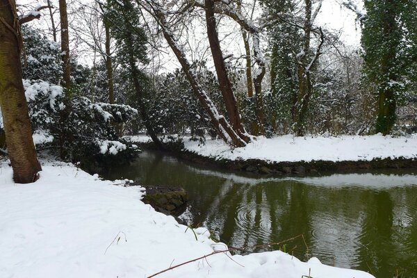 Landscape with snow winter weather