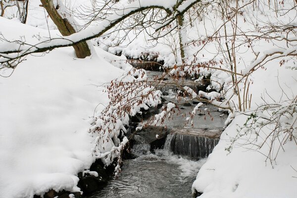 Ruisseau courant dans la forêt d hiver