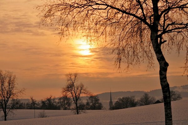 Amanecer de invierno sobre extensiones nevadas