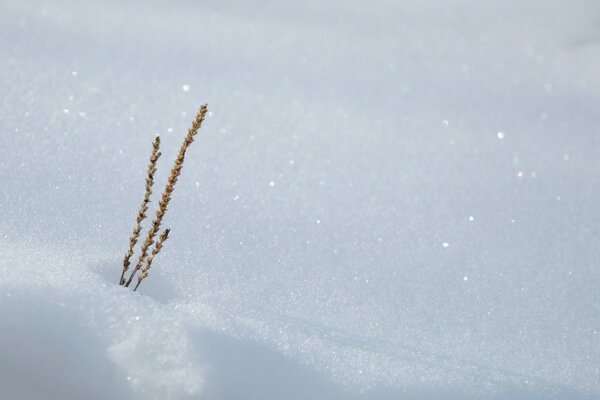 Neve brilhando ao sol