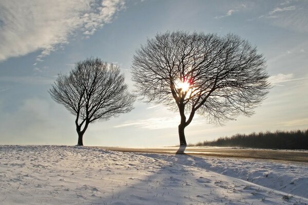 Winter frosty landscape in the fields