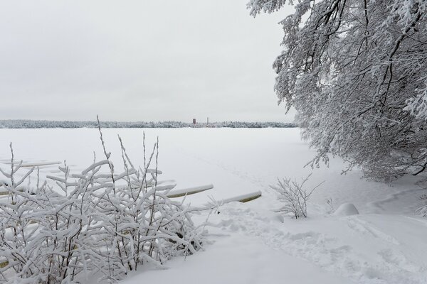 Natura invernale, lago innevato