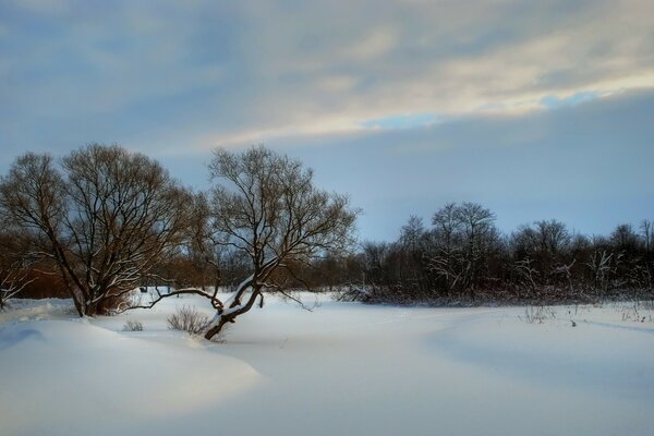 Hiver froid et beaucoup de neige