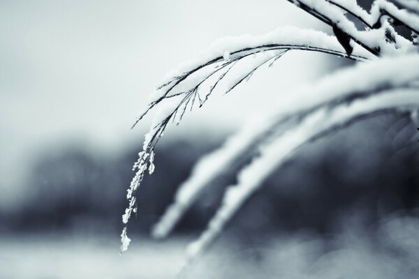 Schmelzender Schnee bei Regen