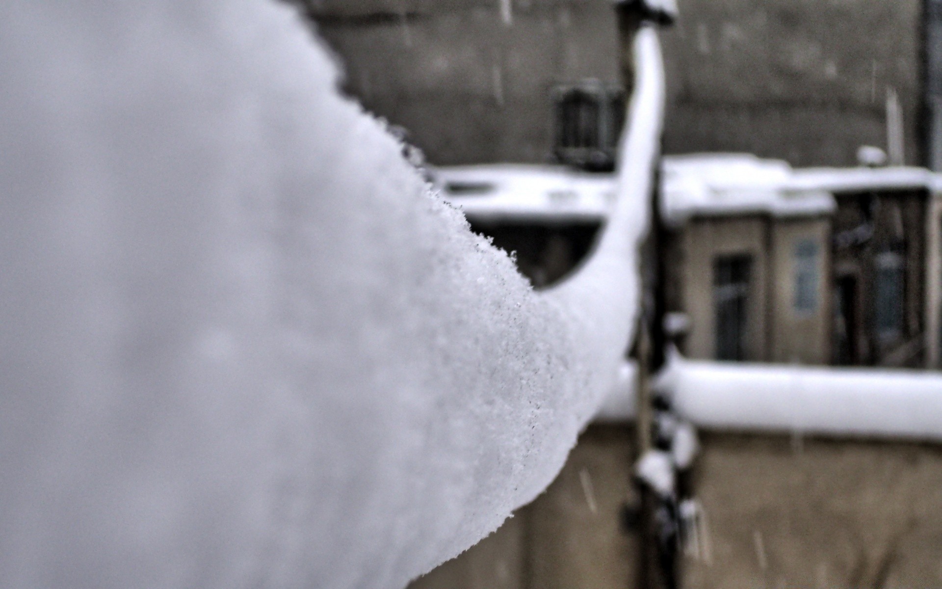 inverno neve freddo gelo congelato all aperto tempo natura ghiaccio stagione albero sfocatura tempesta di neve