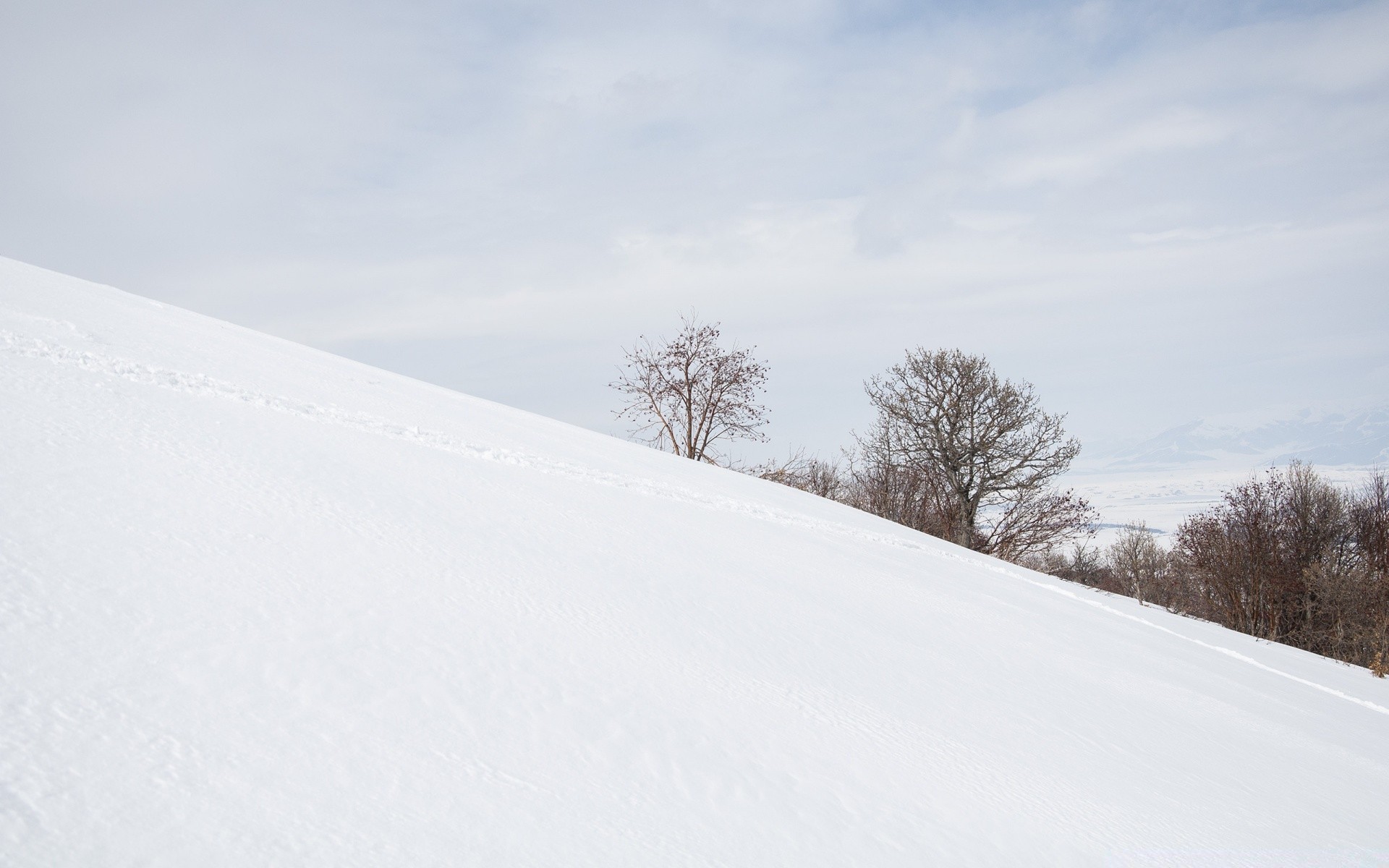 inverno neve paesaggio freddo tempo pista ghiaccio montagna congelato albero gelo scenico collina strada legno luce del giorno nebbia tempesta di neve natura cielo