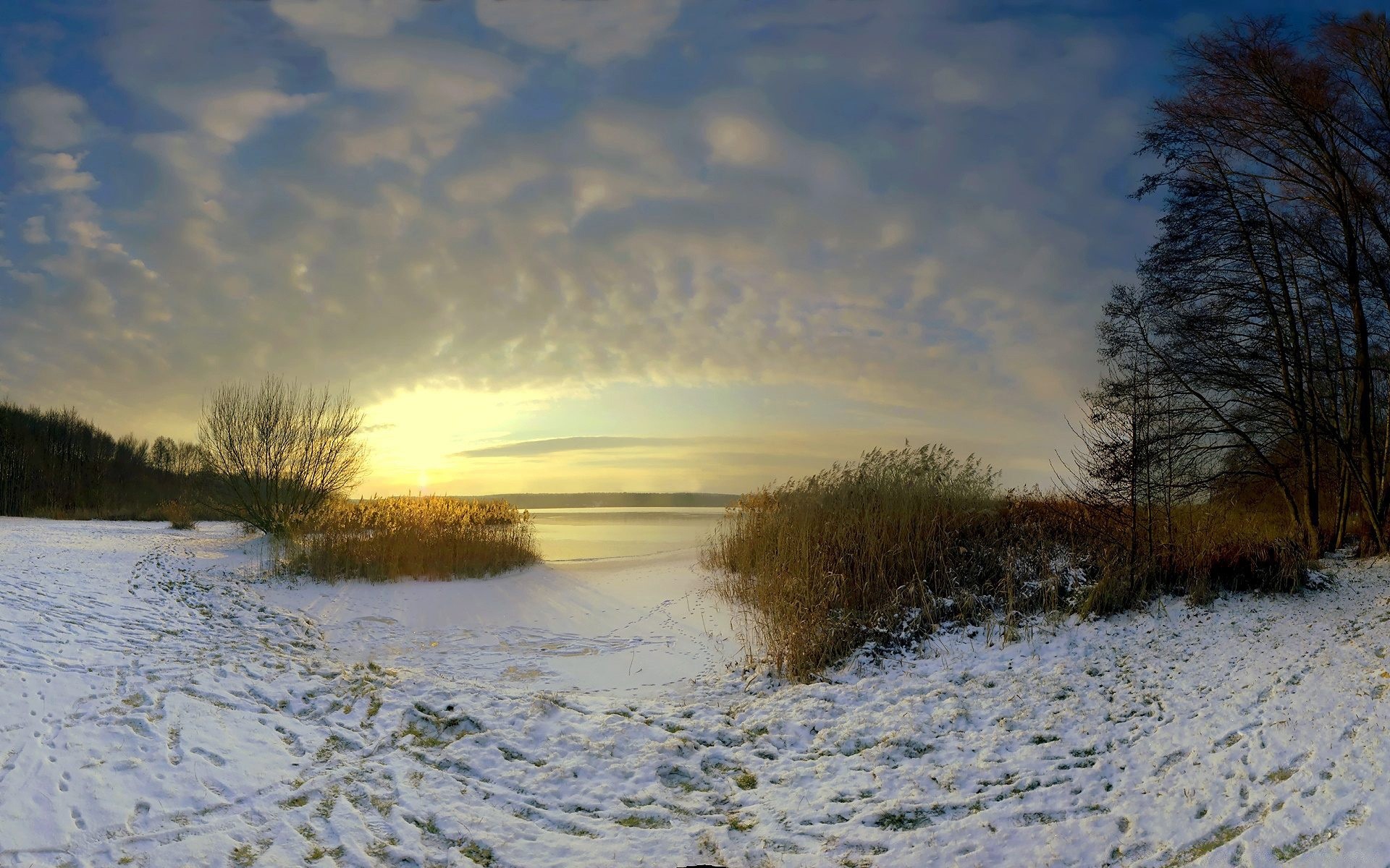 hiver paysage arbre neige aube nature coucher de soleil eau lac réflexion à l extérieur ciel froid glace rivière beau temps soir bois météo