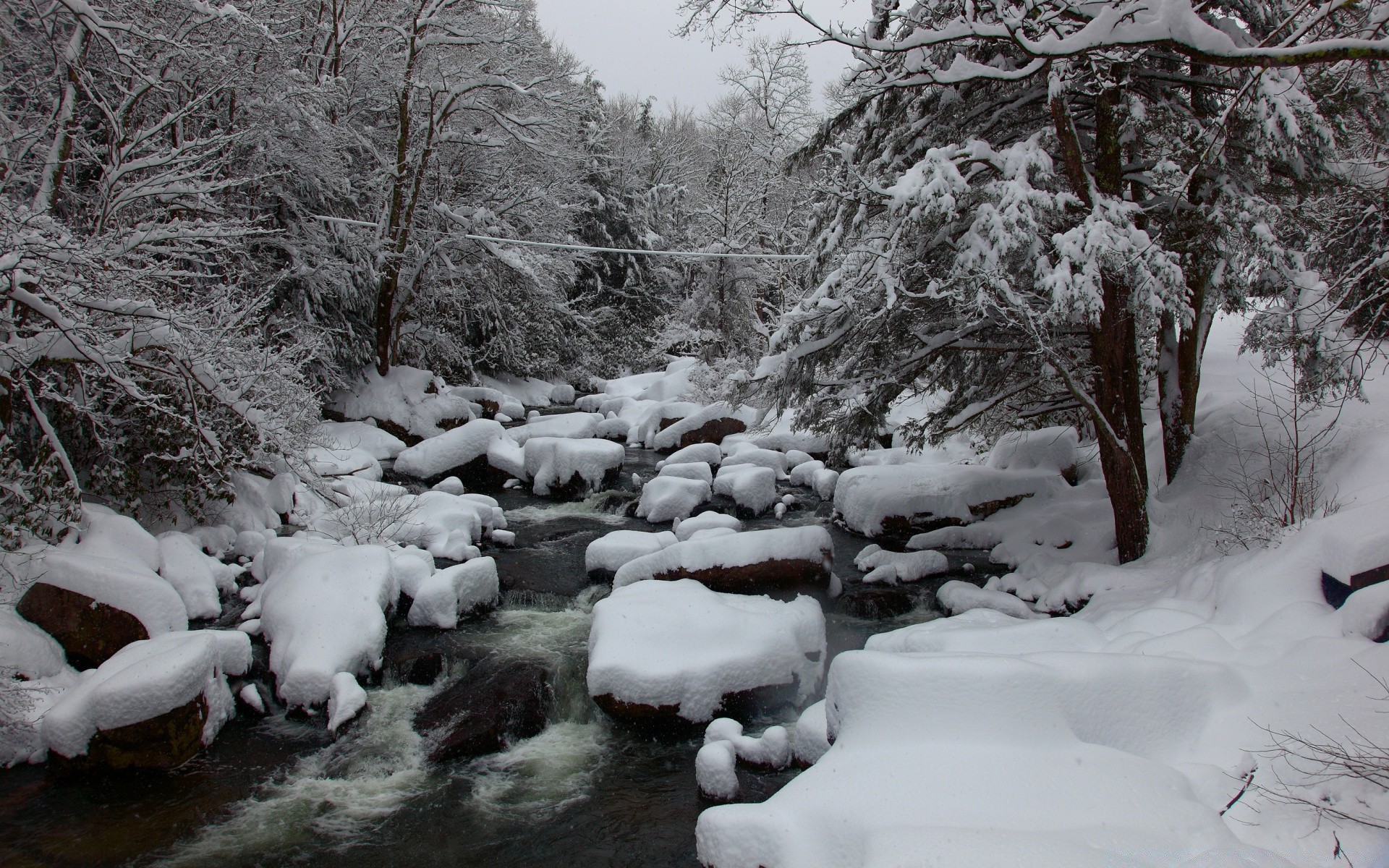 winter snow cold frost ice frozen wood tree landscape weather nature season frosty snow-white outdoors icy snowstorm scenic