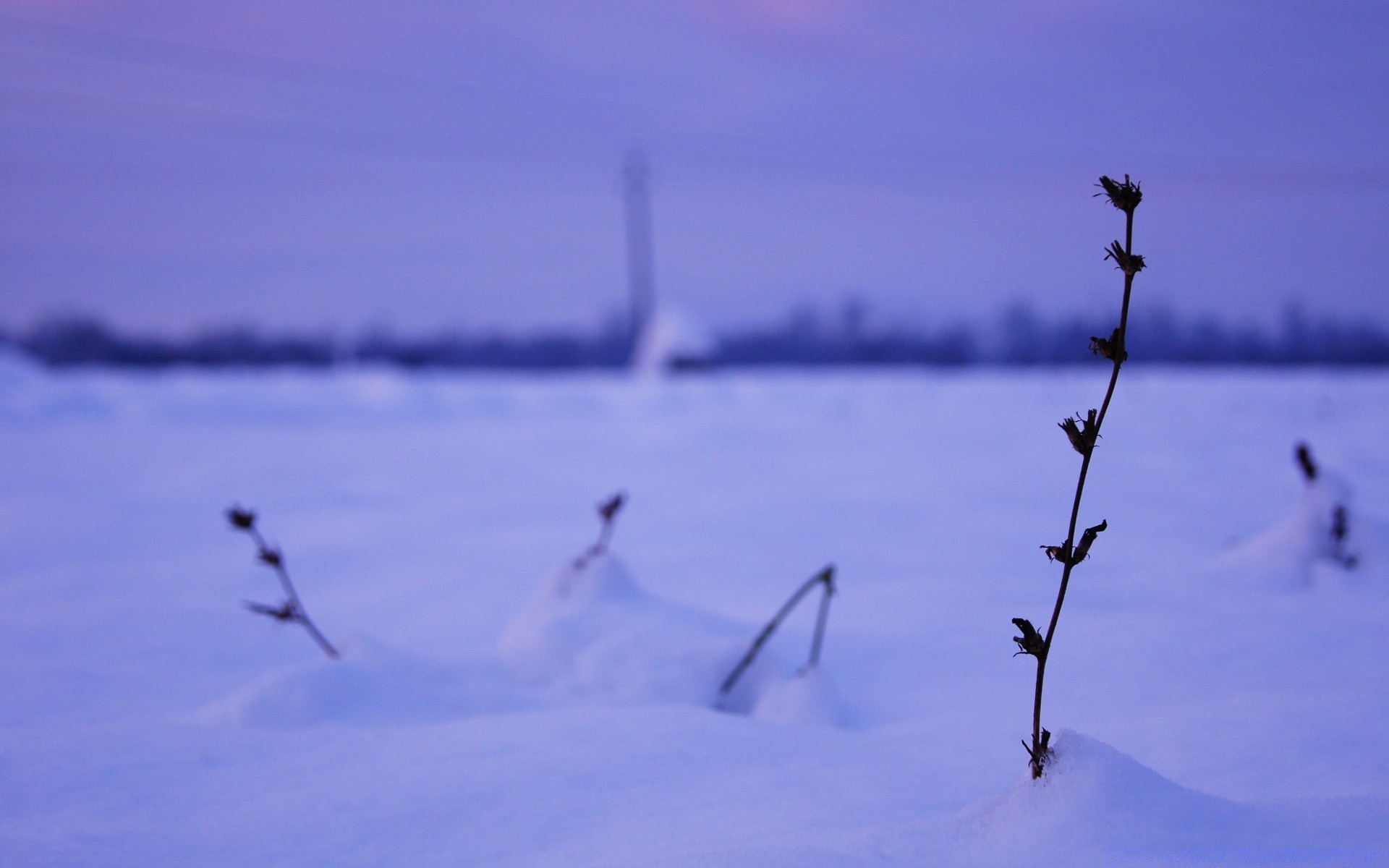 inverno céu água natureza ao ar livre pássaro amanhecer neve pôr do sol lago