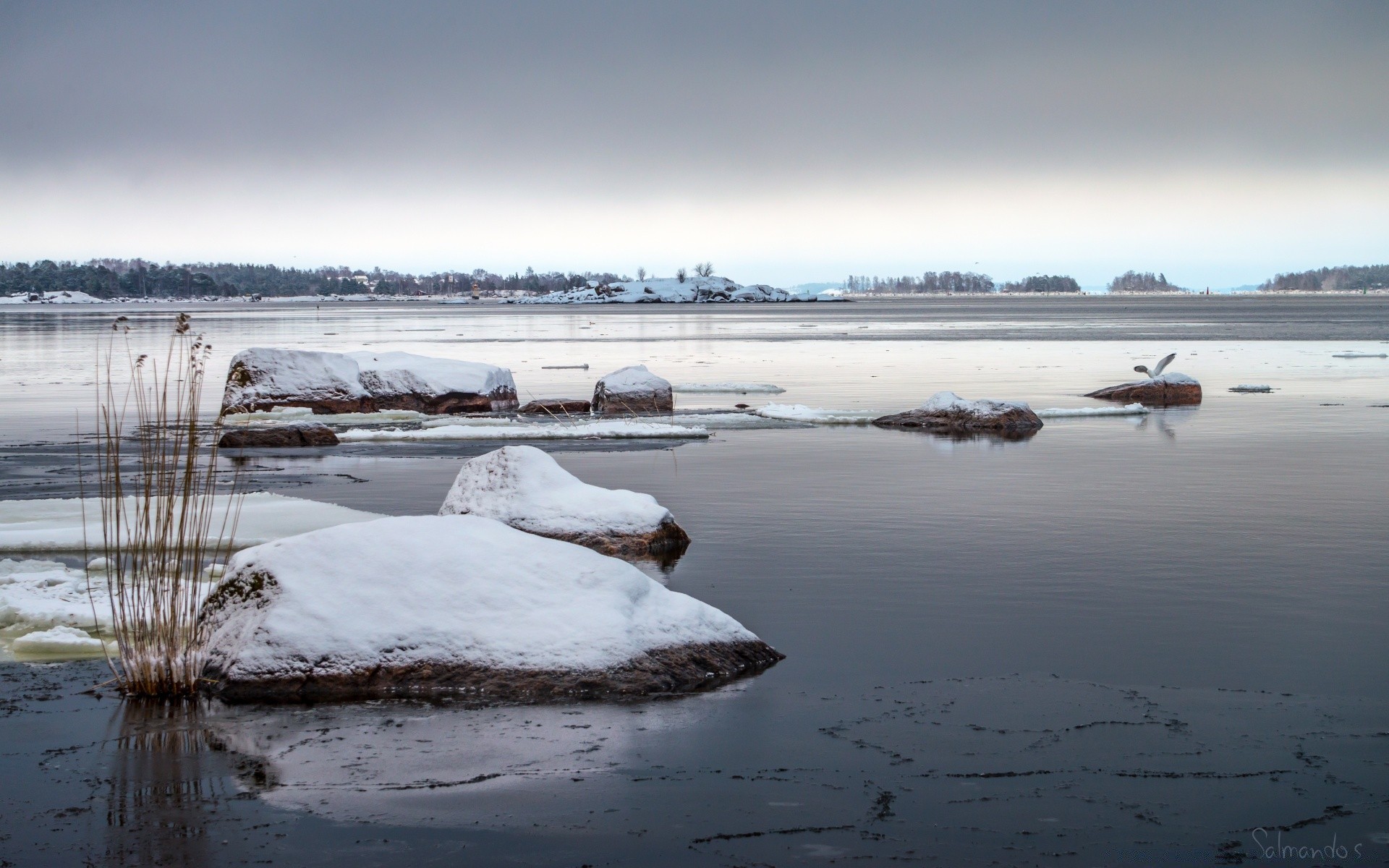 hiver neige eau glace congelé paysage froid gel ciel météo lac mer soir givré nature coucher de soleil plage en plein air voyage