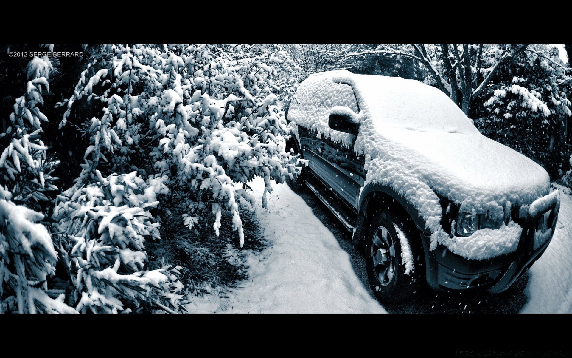 inverno neve geada congelado gelo frio gelado gelado natureza