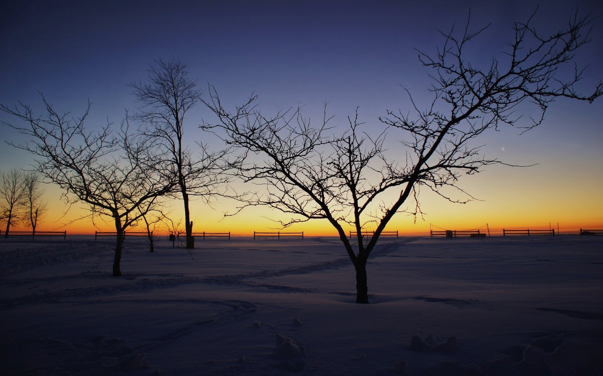 hiver paysage aube coucher de soleil arbre soir silhouette soleil nature rétro-éclairé ciel crépuscule météo scénique