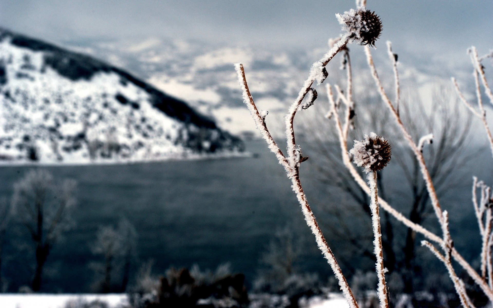 inverno neve gelo natura all aperto congelato freddo cielo stagione cielo blu paesaggio ghiaccio albero bel tempo legno montagna tempo viaggi