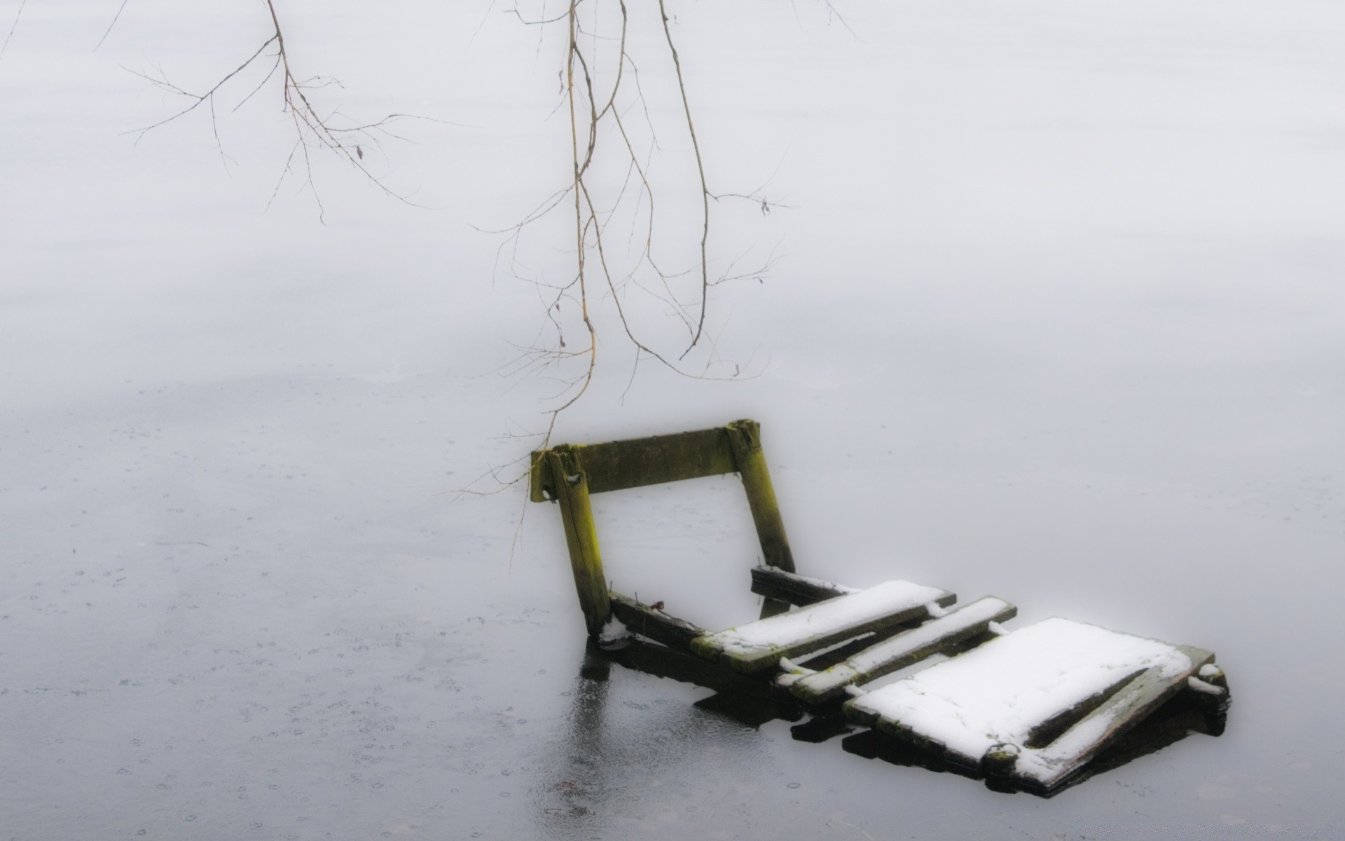 winter snow ice cold frost weather outdoors landscape wood nature frozen