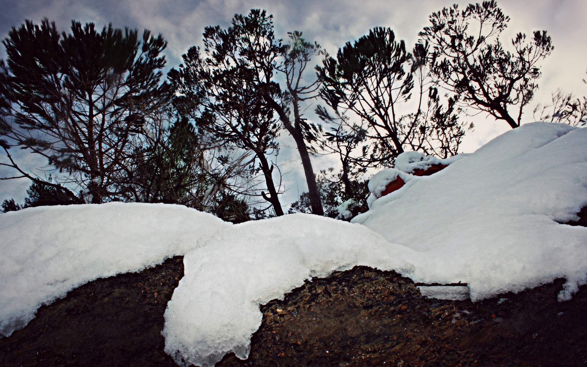 winter snow cold frozen ice tree frost landscape weather outdoors nature wood mountain travel sky snowstorm scenic