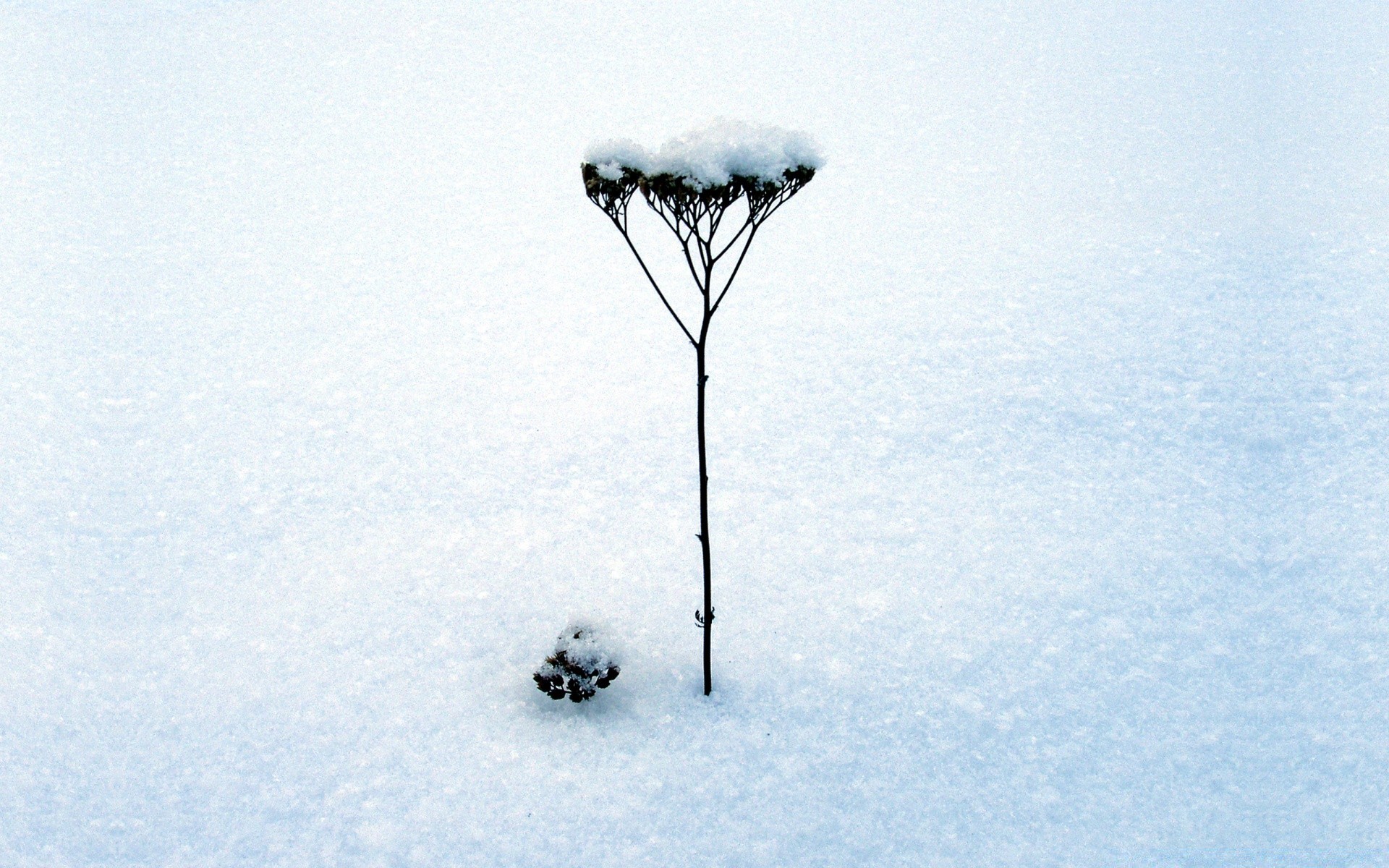 winter snow cold landscape outdoors frost weather nature sky daylight tree ice frozen one