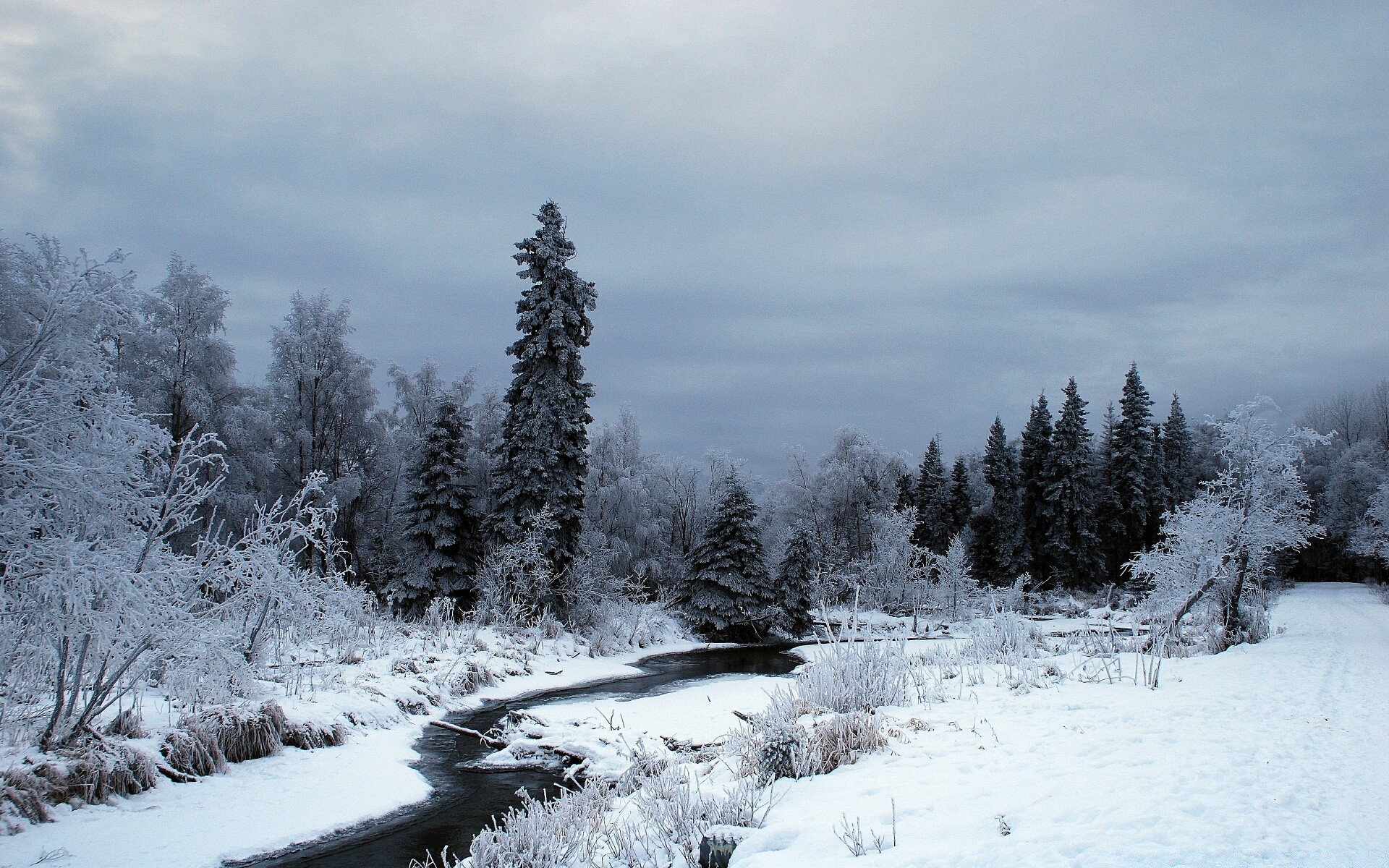 winter snow cold frost ice wood frozen tree landscape weather nature outdoors scenic frosty mountain fog season