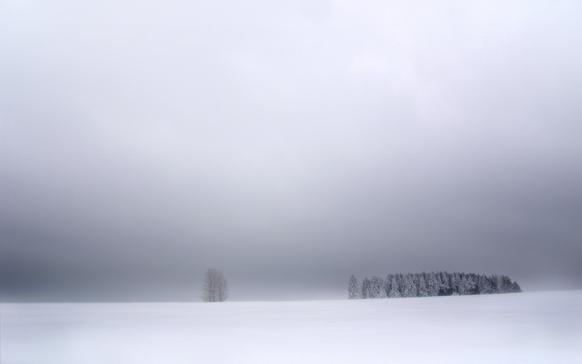 hiver brouillard neige brouillard paysage froid glace nature eau à l extérieur météo ciel gel tempête monochrome art lac congelé lumière