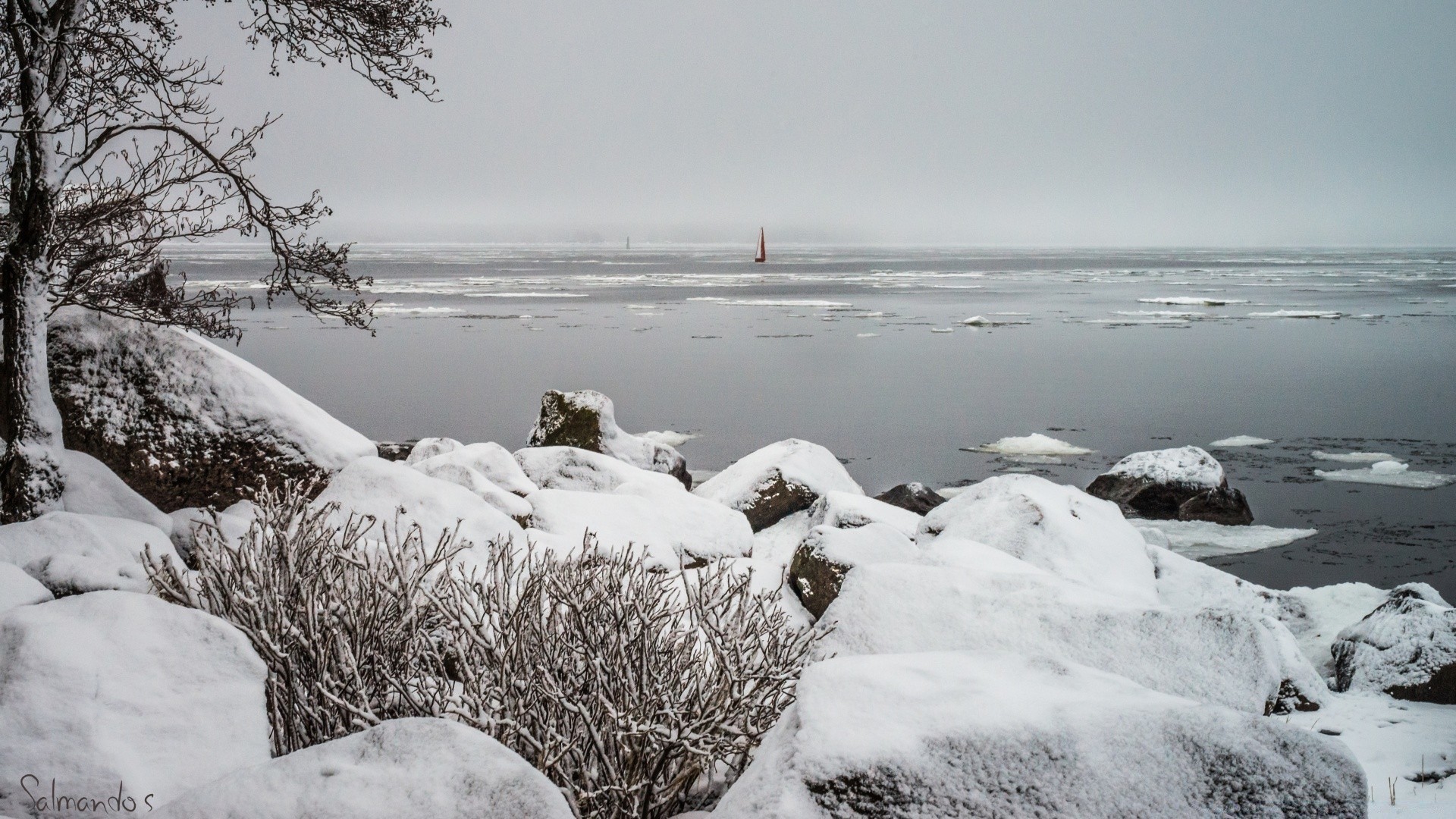 inverno neve acqua ghiaccio freddo congelato paesaggio mare mare gelo natura oceano spiaggia all aperto viaggi gelido cielo roccia meteo