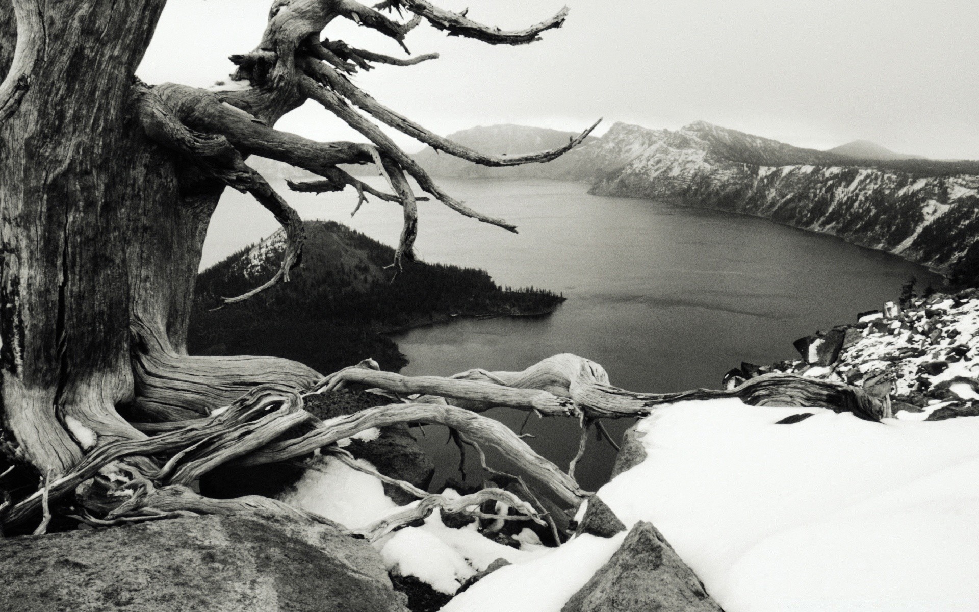 winter water monochrome lake tree rock river landscape nature travel snow mountain outdoors one seashore