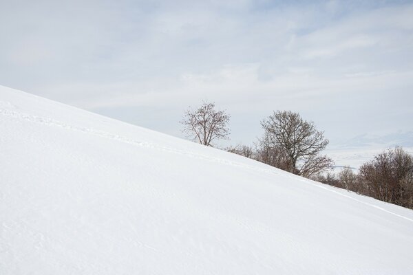 Snowy sloping mountainside