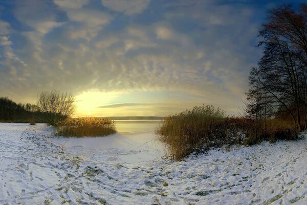 Winter landscape. Snowy dawn