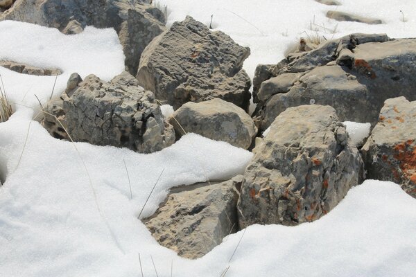 Nieve entre piedras en las montañas