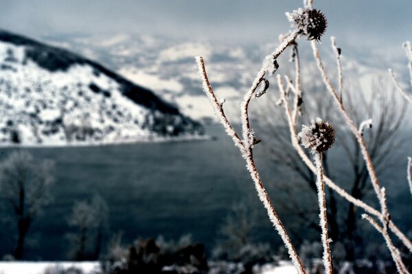 Do you feel the frost in the open air