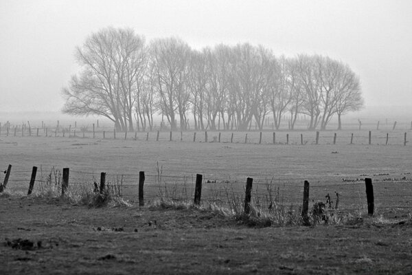 Paisaje blanco y negro monocromo