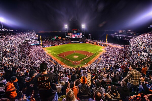 Huge crowds of fans at the stadium