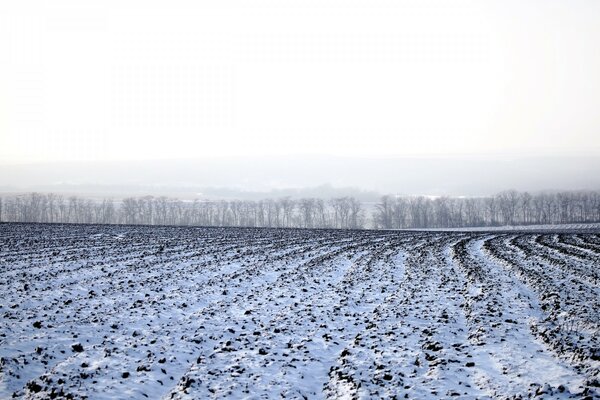 Campo de invierno con nieve