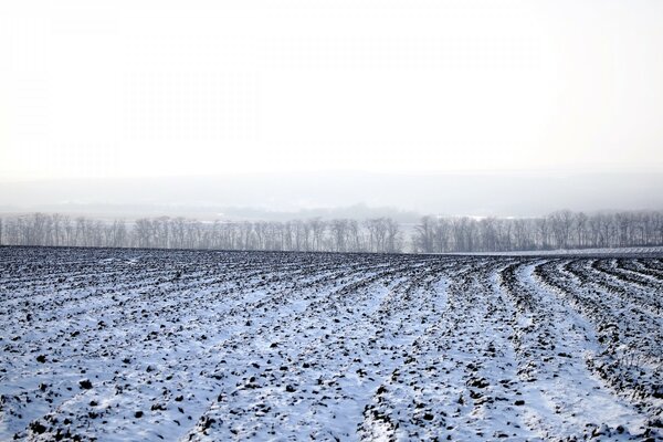 冬天有雪的田野