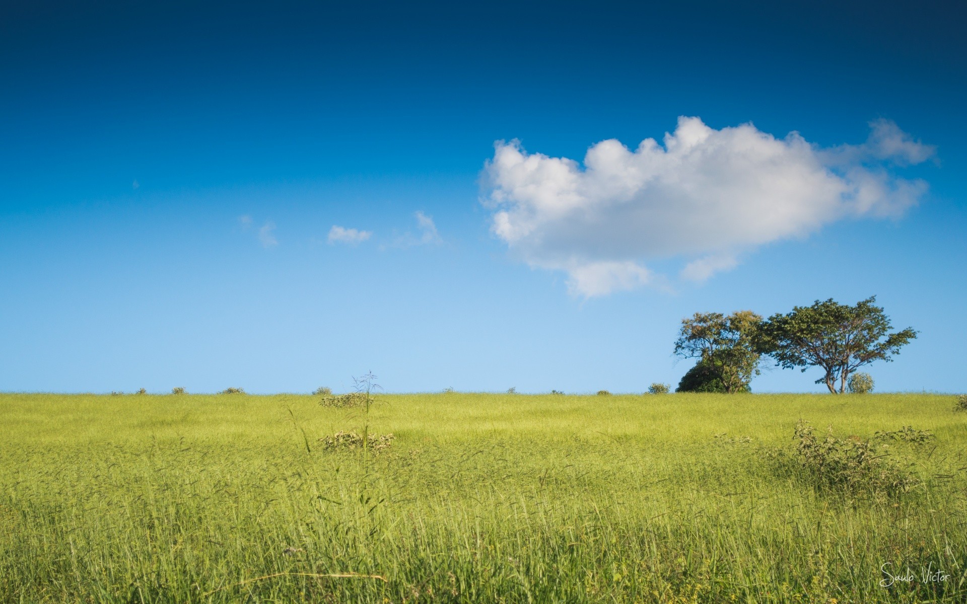 paesaggio campo paesaggio rurale fieno agricoltura cielo erba pascolo fattoria orizzonte natura campagna crescita estate pascolo sole bel tempo all aperto raccolto