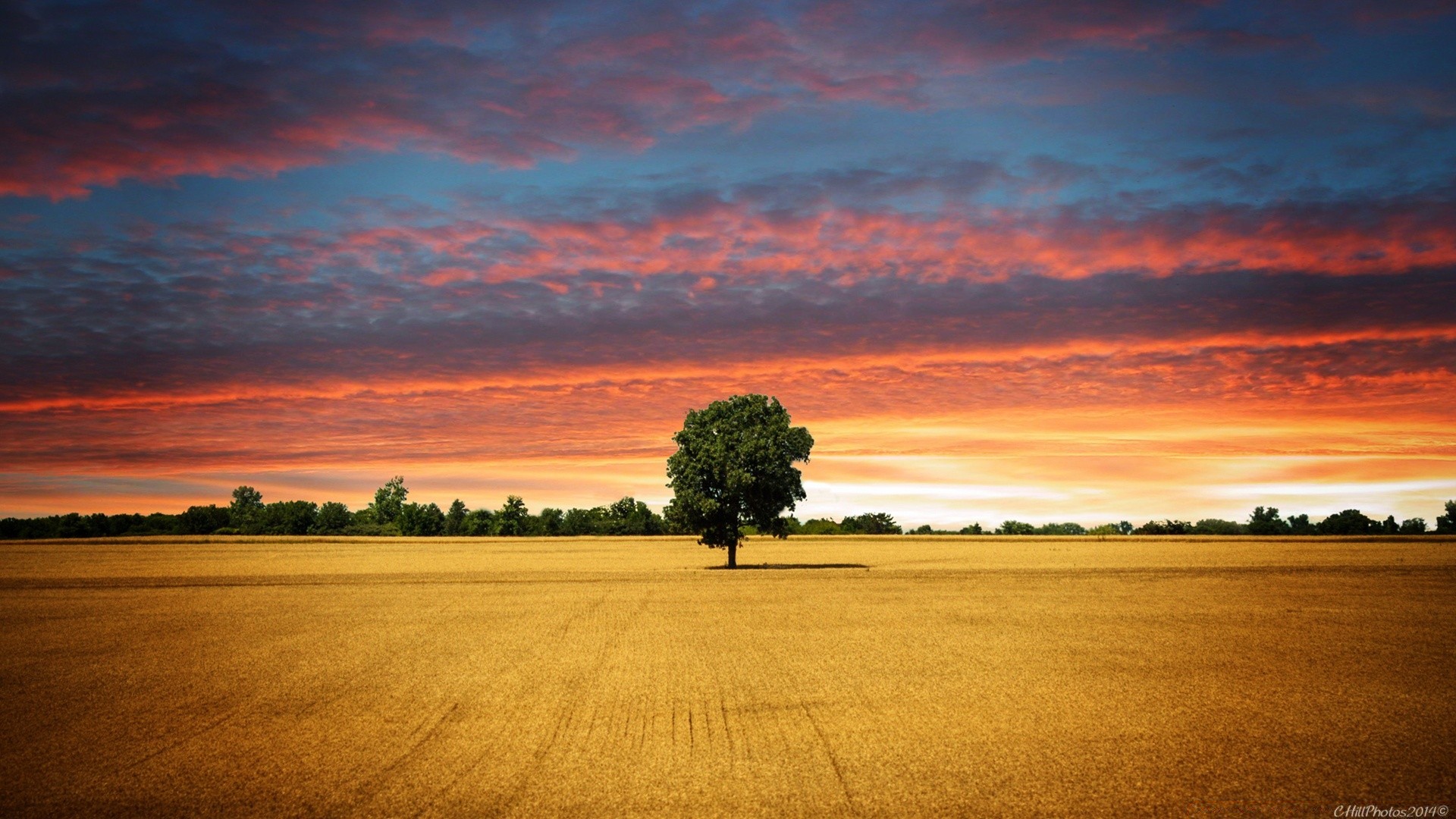 paysage coucher de soleil aube soleil crépuscule soir nature ciel paysage été beau temps eau