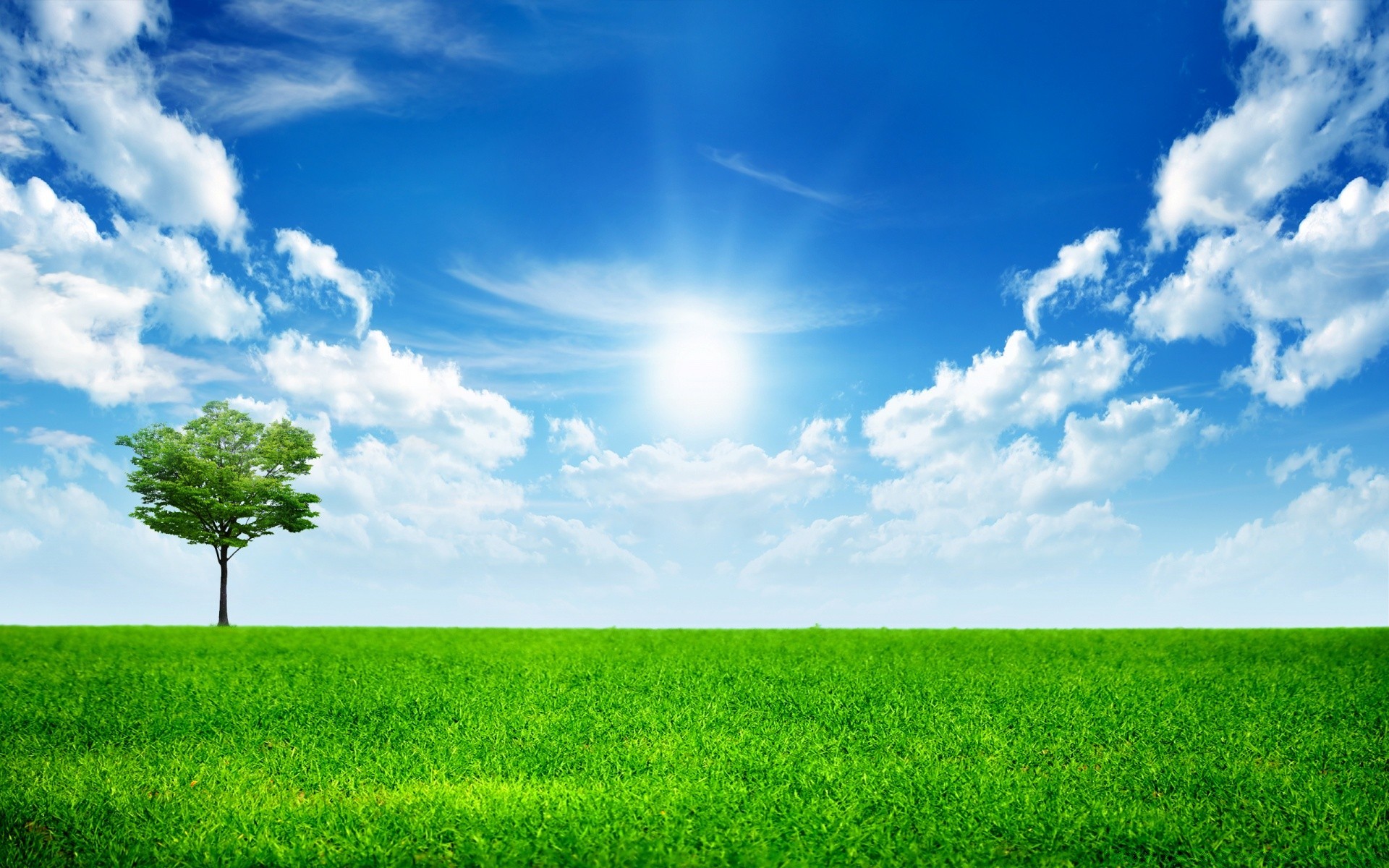 paesaggio erba campo rurale sole fieno natura orizzonte bel tempo suolo nuvoloso campagna panoramico nuvola prato paesaggio pascolo cielo tempo estate