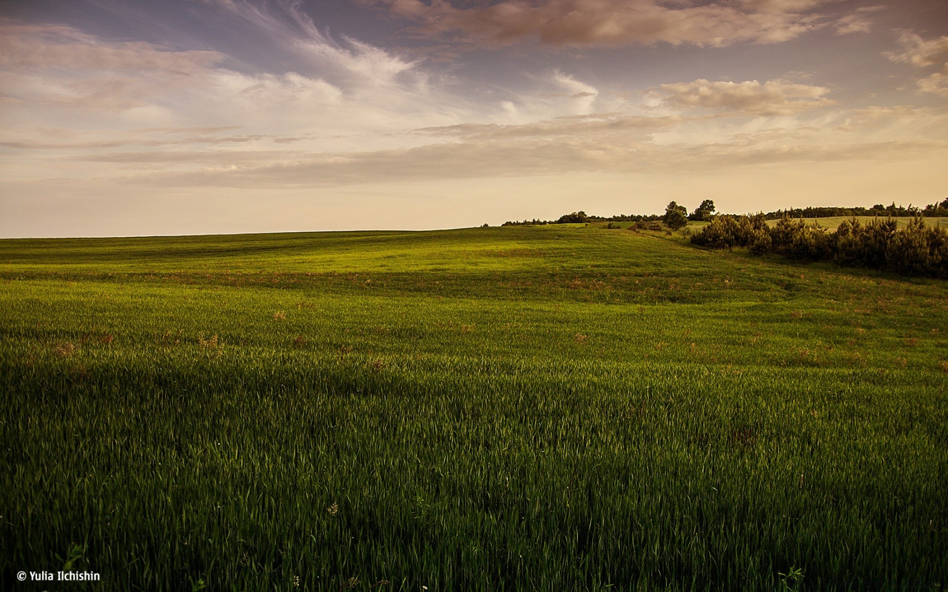 paysage paysage agriculture terres cultivées campagne nature herbe rural champ aube coucher de soleil à l extérieur ciel soleil pâturage ferme blé