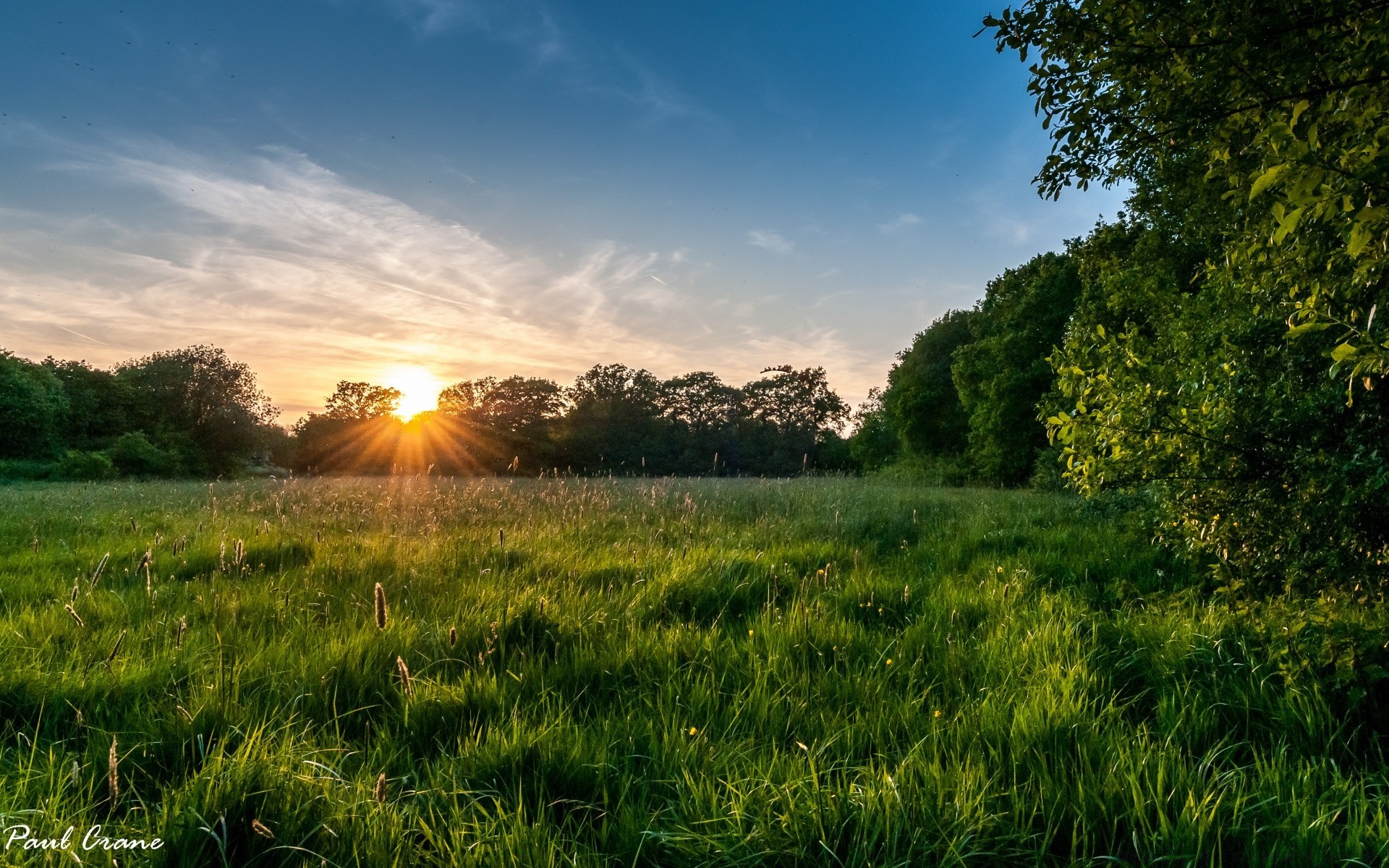 paysage paysage soleil aube nature rural herbe beau temps champ coucher de soleil été campagne ciel foin lumineux pays en plein air arbre