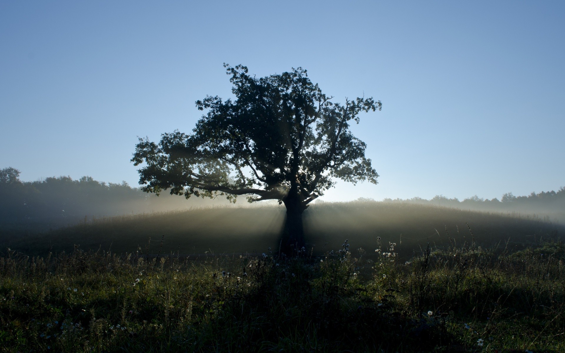 paisagens paisagem árvore névoa natureza névoa céu madeira amanhecer ao ar livre pôr do sol viagens montanhas luz cênica ambiente sol